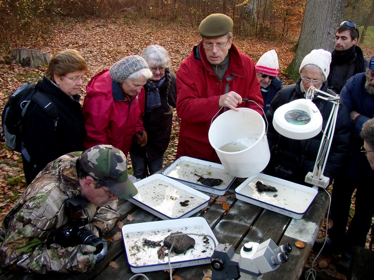 2011 11 Macrofaune benthique St Léger 04